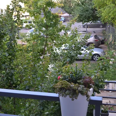 Park Apartment